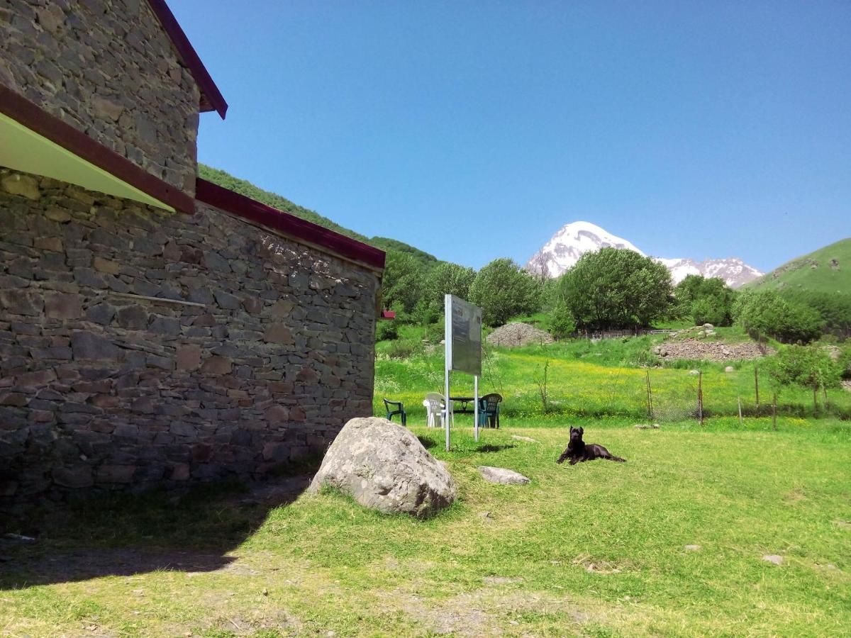 Дома для отпуска Kazbegi Hut Степанцминда-25